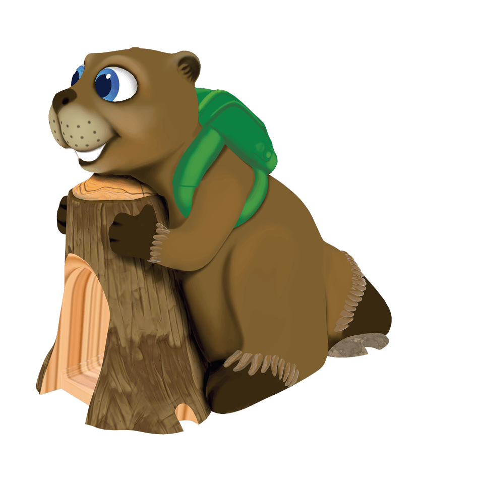beaver aqua slide