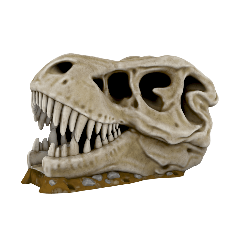 t-rex skull aqua slide