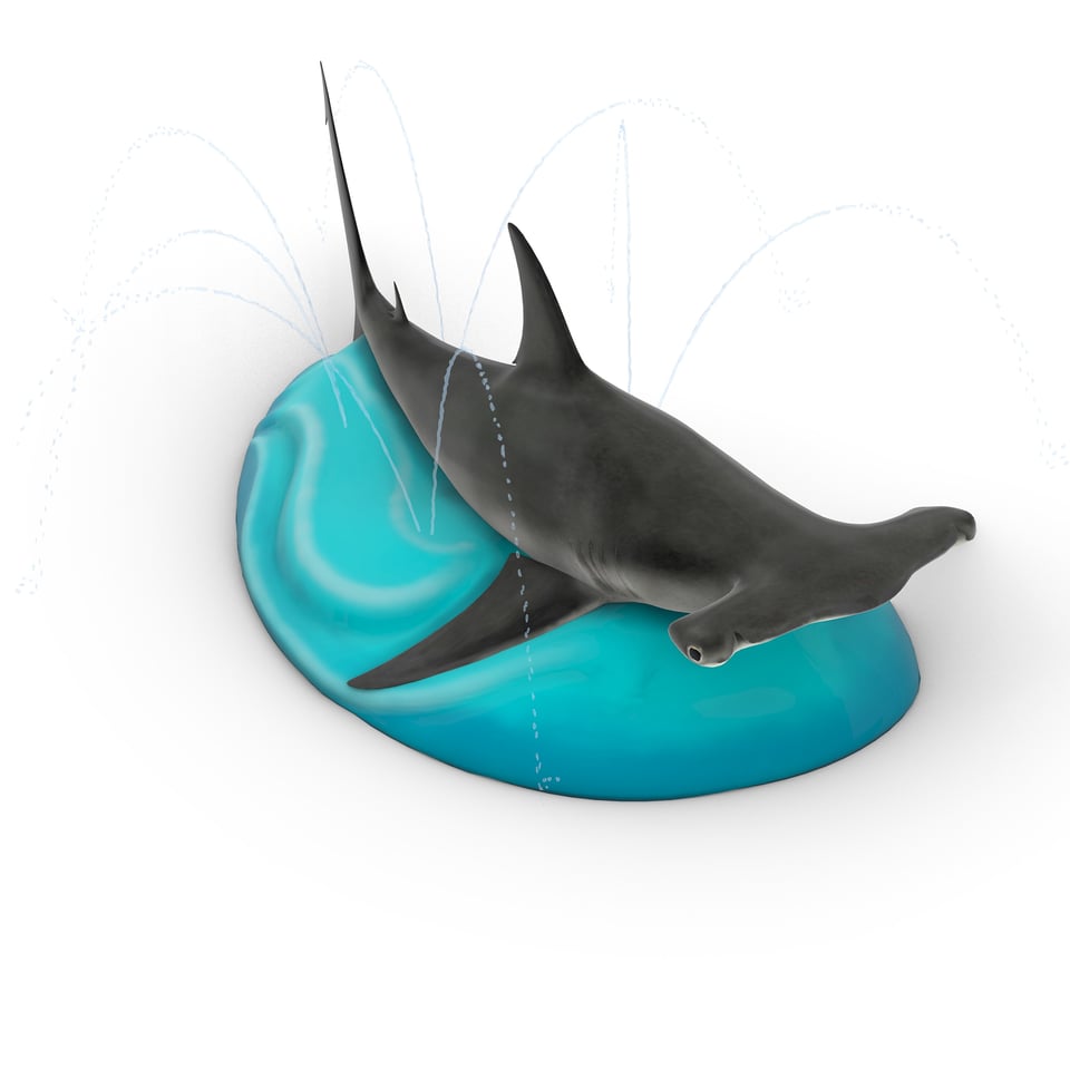 dark grey hammerhead shark sprayer on wave 