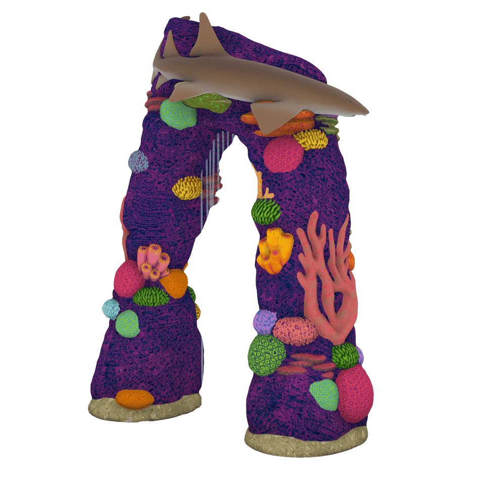 bright colored sea themed arch