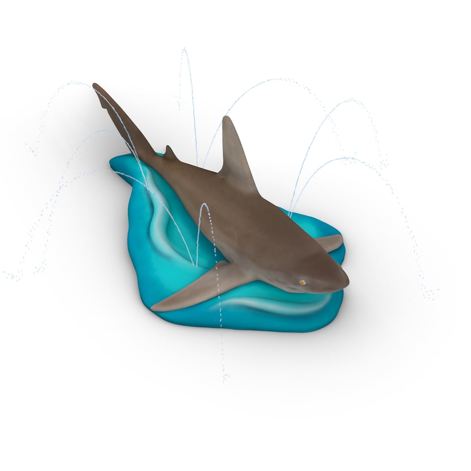 brown shark on water
