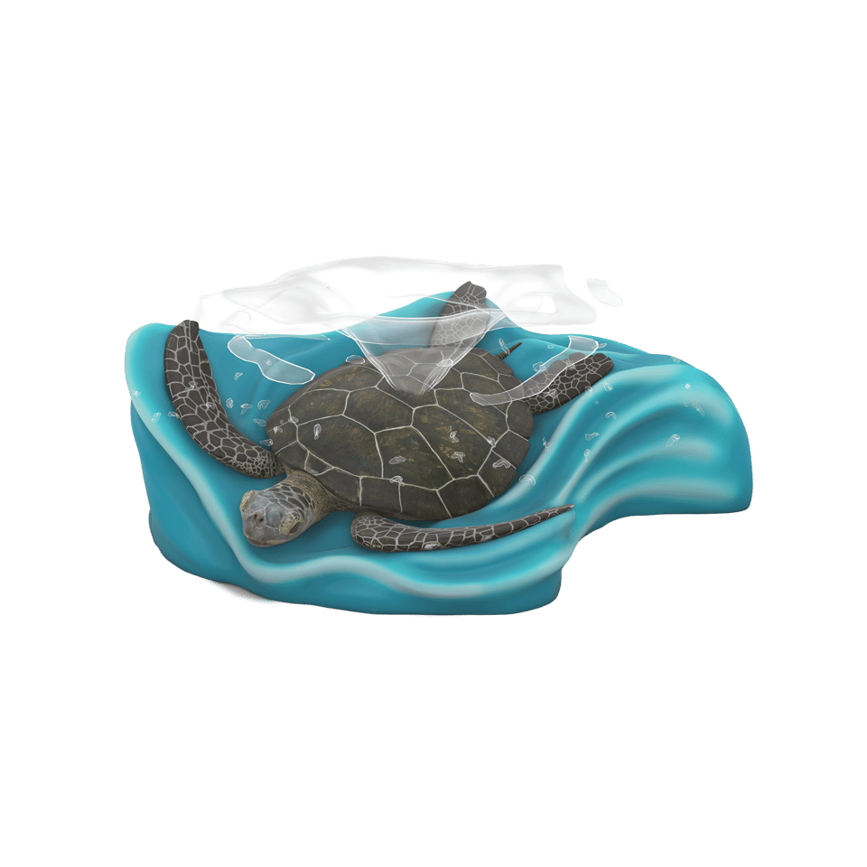 greyish green sea turtle 