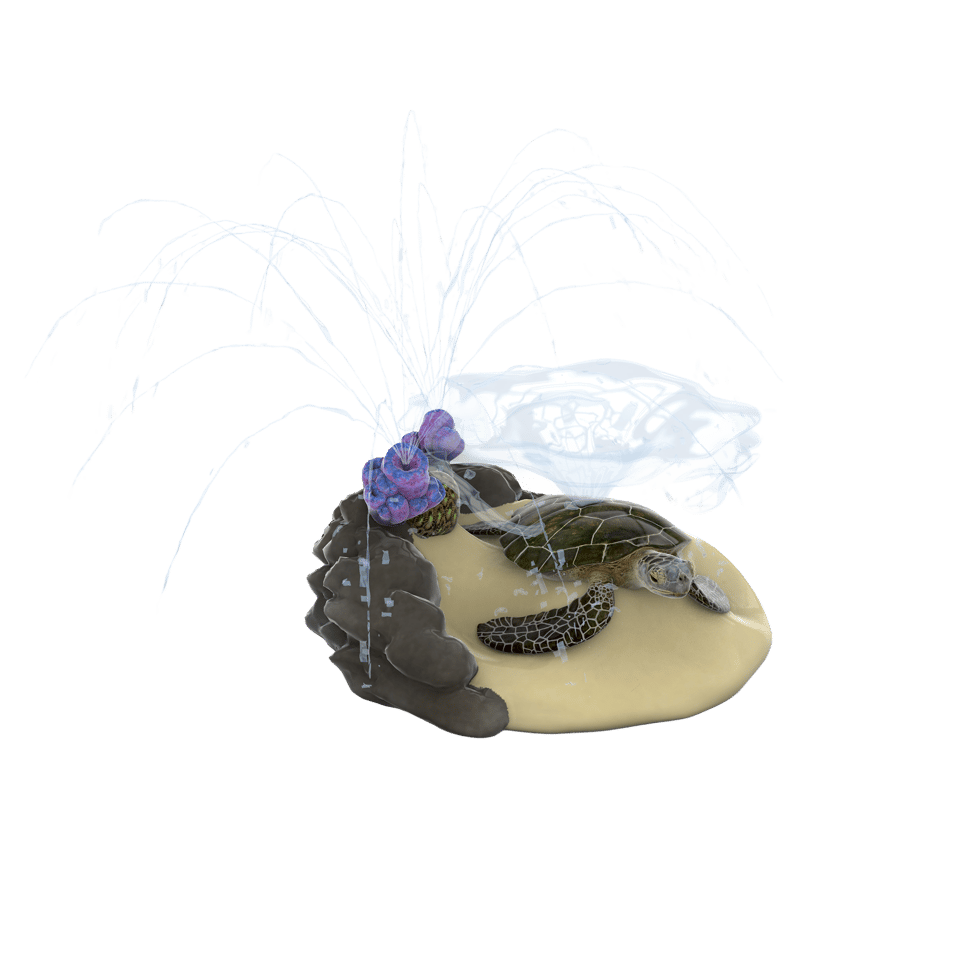 greyish brown sea turtle lying on a sand bed with purple coral 
